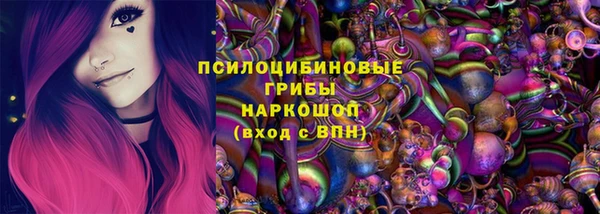мдпв Армянск