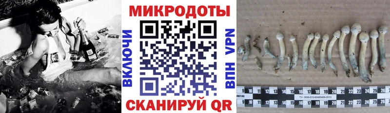 Псилоцибиновые грибы мухоморы  Цивильск 